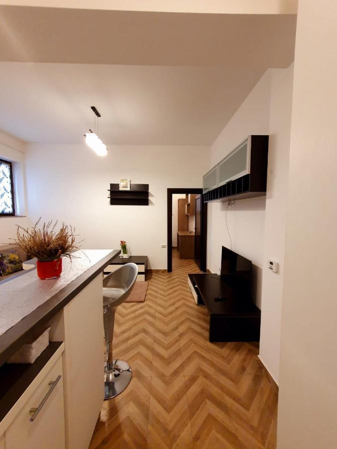 Concept Residence Regim Hotelier ヤシ エクステリア 写真